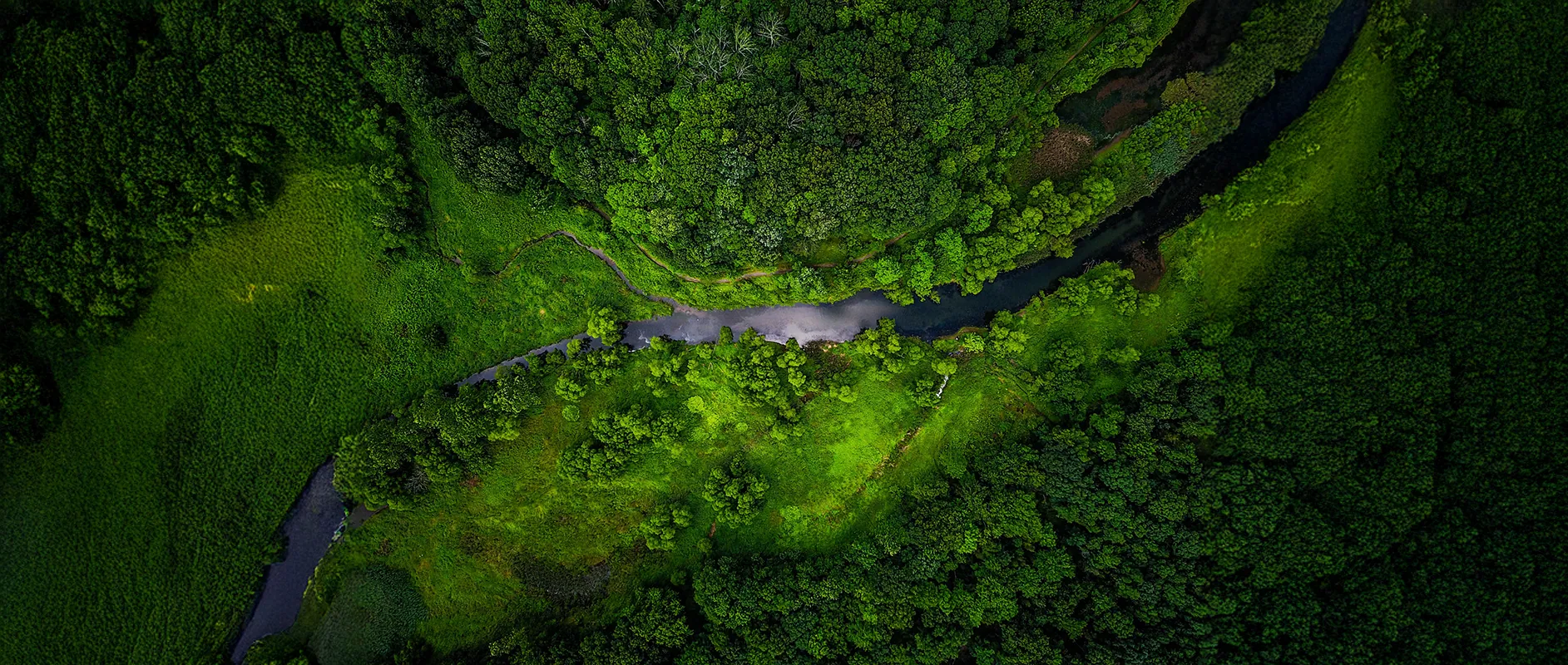 Our Sustainability Initiatives